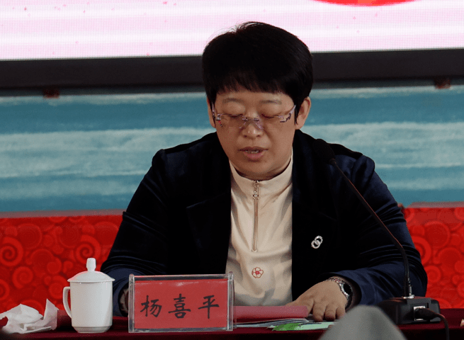 莱州市政府副市长杨喜平讲话宣读先进集体(个人)表彰决定新当选会长
