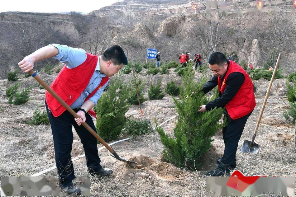 3月29日,麦积区四大班子领导前往渭南镇刘家庄绿化工程现场,参加春季