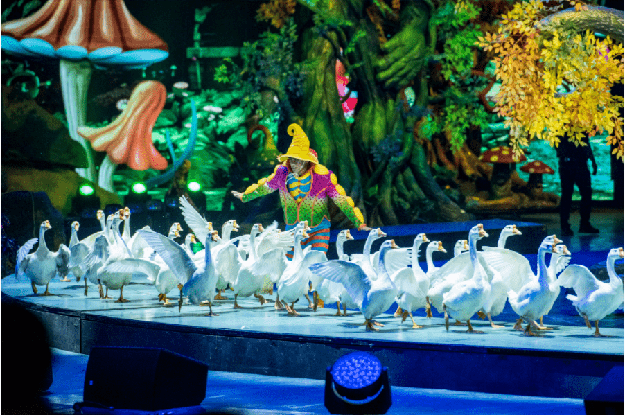 重磅预告|龙之梦大马戏《魔境之旅》四月放"价",五折钜惠开启绮幻之旅