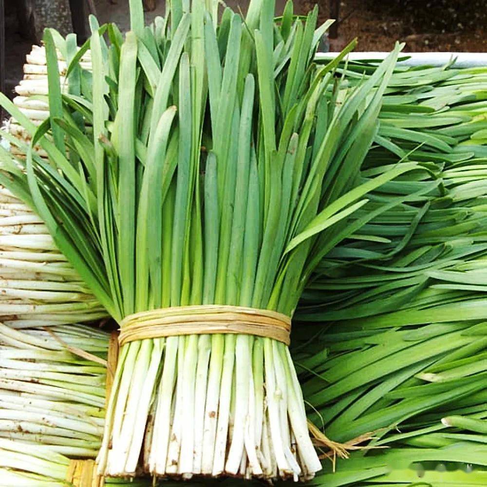 上调农残指标,杀菌剂腐霉利成关注焦点,今后的韭菜还能放心吃吗_农药