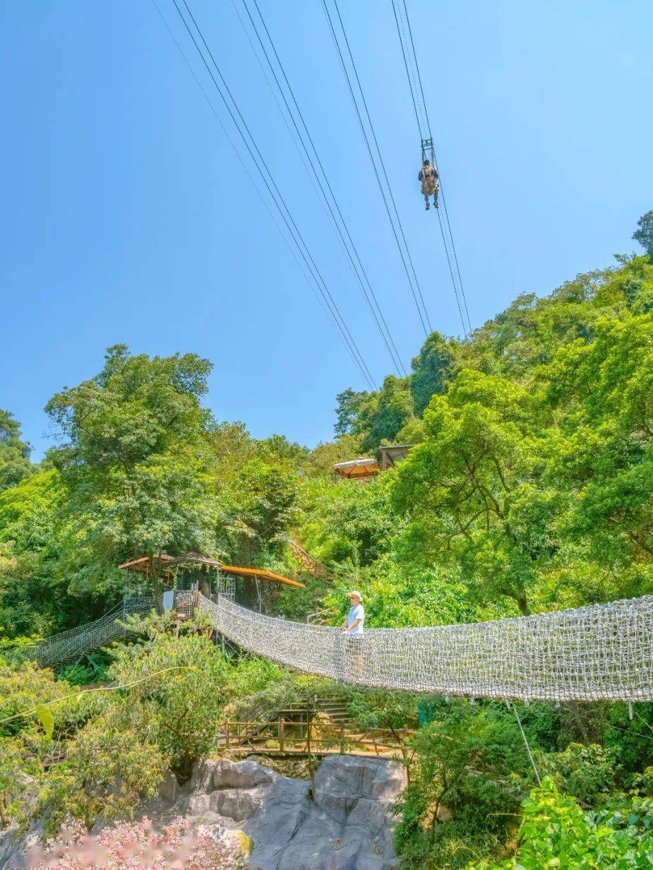 快來南丹山打卡網紅點,遛娃…擁抱明媚春光_南山_森林_景區