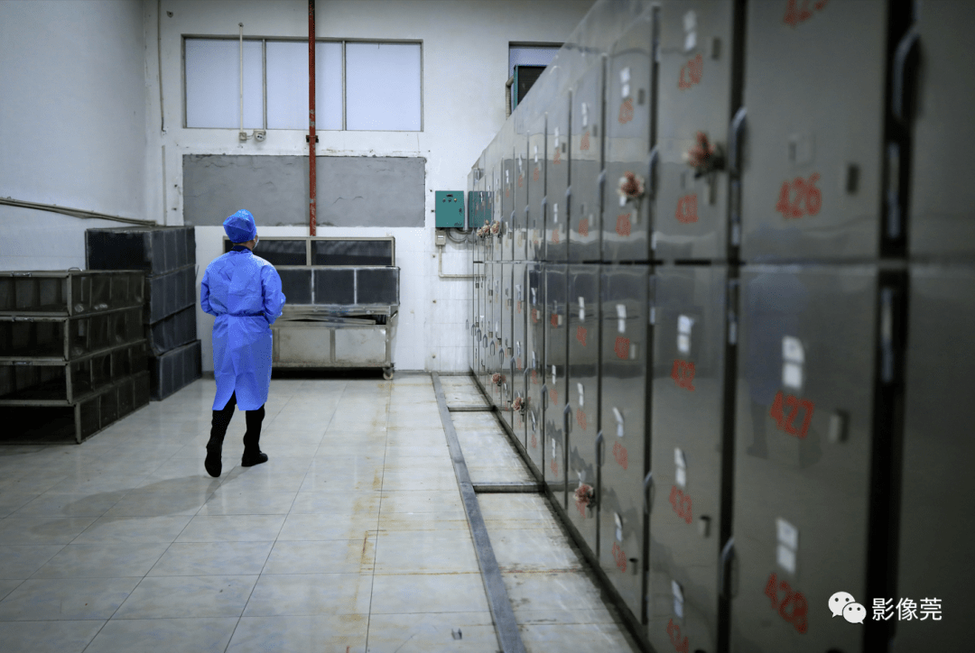 下午4:48,胡敏检查防腐室冰柜的温度带领家属辨认遗体,将遗体放入