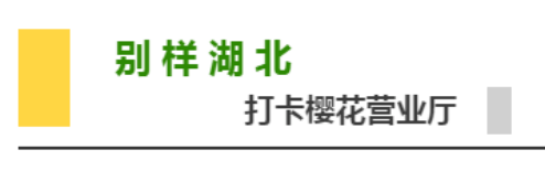 钟情湖北 樱你而来：上传视频，奥秘大奖等你赢！