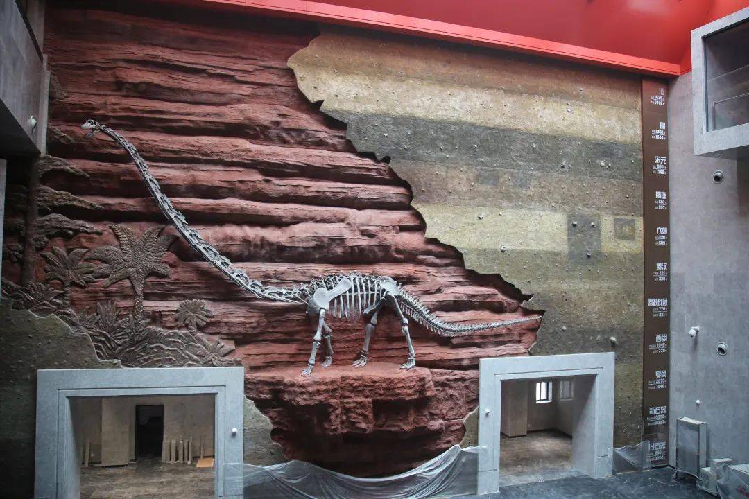 长寿区博物馆即将开馆,镇馆之宝是……_文化_地区_公众