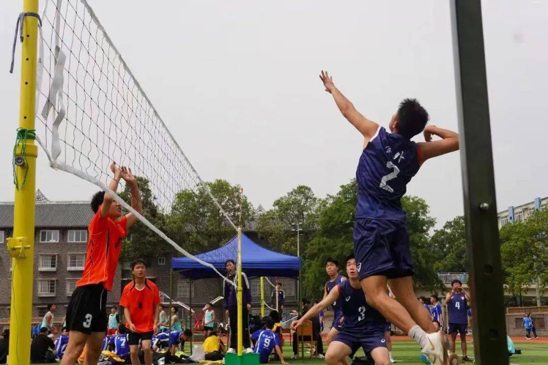 律动青春·活力迎大运 | 双流区中小学校园排球联赛获奖名单来咯!