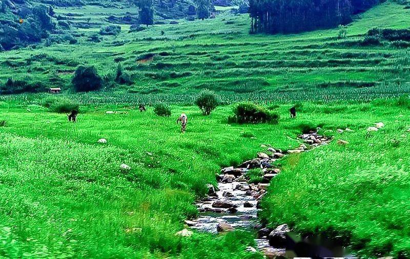 【徒步户外】五一4天|内蒙达达线|美林谷-玉龙沙湖-石林-沙地云杉-达