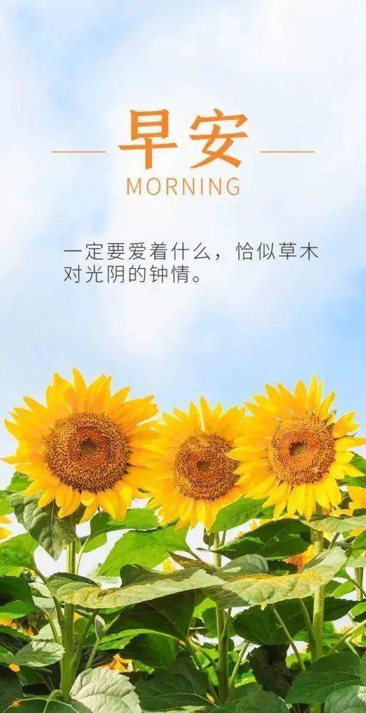 放平心态,认真对待,四月一定会给你带来惊喜,早安!_问候_祝福_阳光