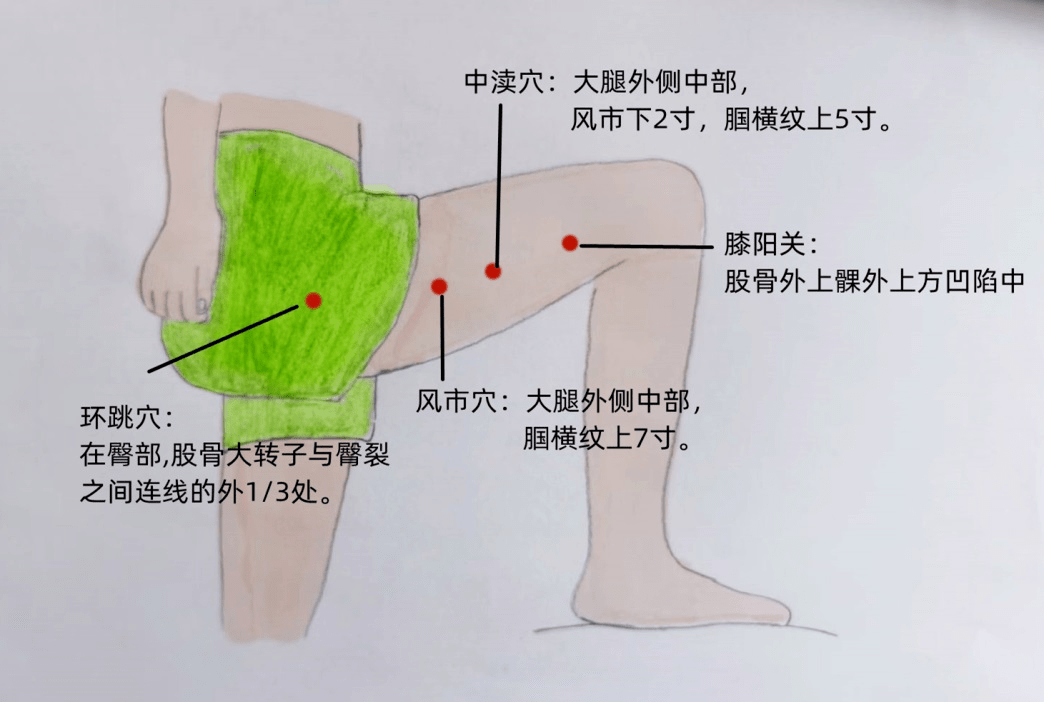 大腿上的胆经位置图图片