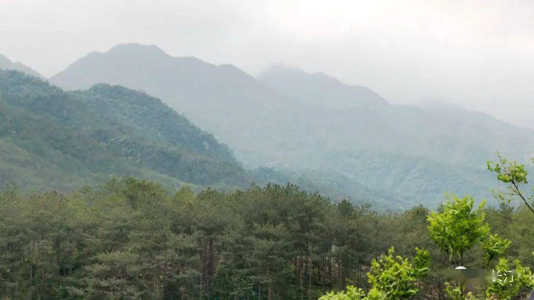 长汀县松毛岭旅游景点图片