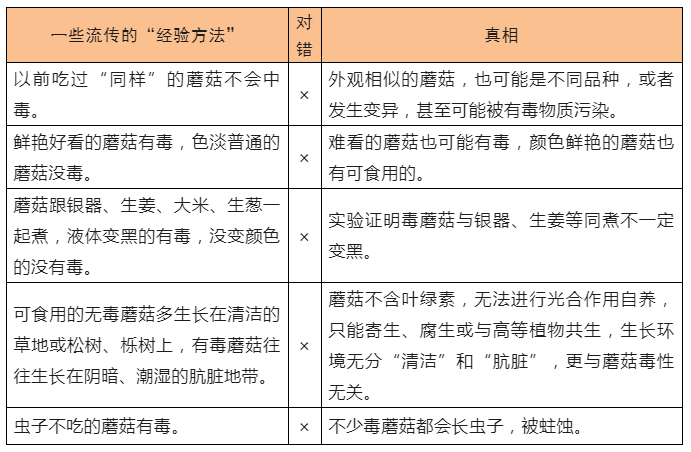 有毒！那些野蘑菇碰不得，东莞路边很常见