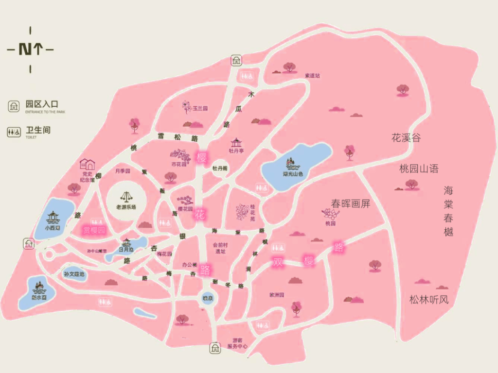 四月“樱”你而出色，中山公园樱花科普和赏樱预告来啦→