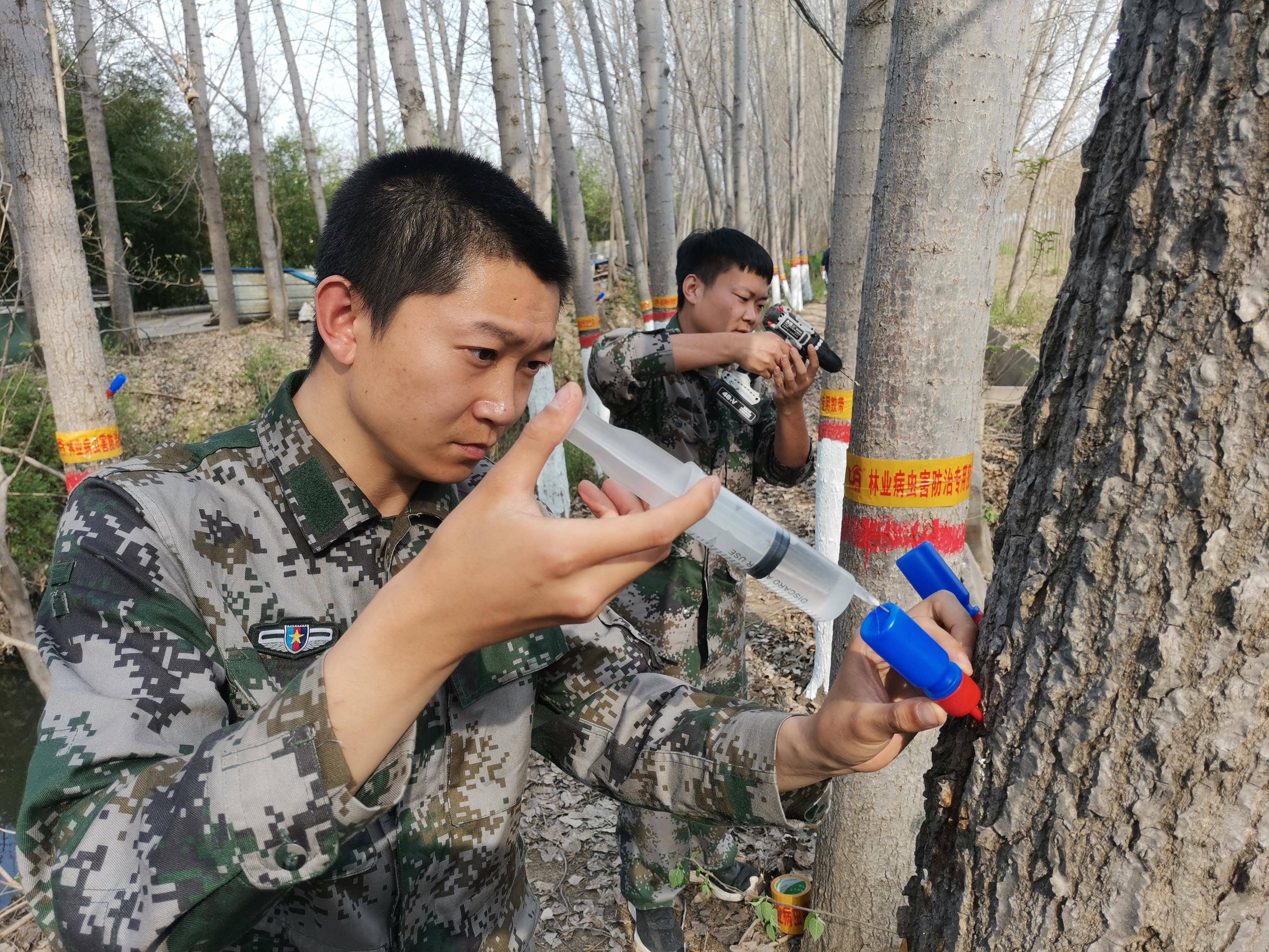 济源初次停止控造杨柳飞絮手艺尝试