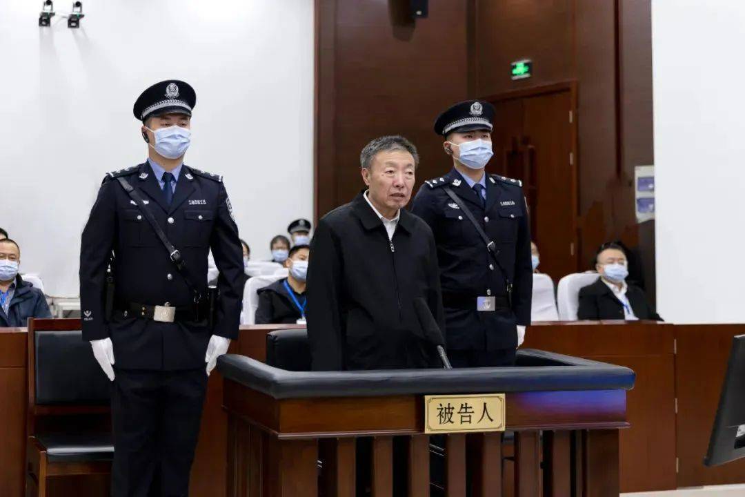 张务锋、徐鸣、徐宝义、胡东胜、朱玉文、辛敏超、杨随亭、张天喜、顾艳华，专项整治开展后被捉的“硕鼠”们_违规_国家_党组书记