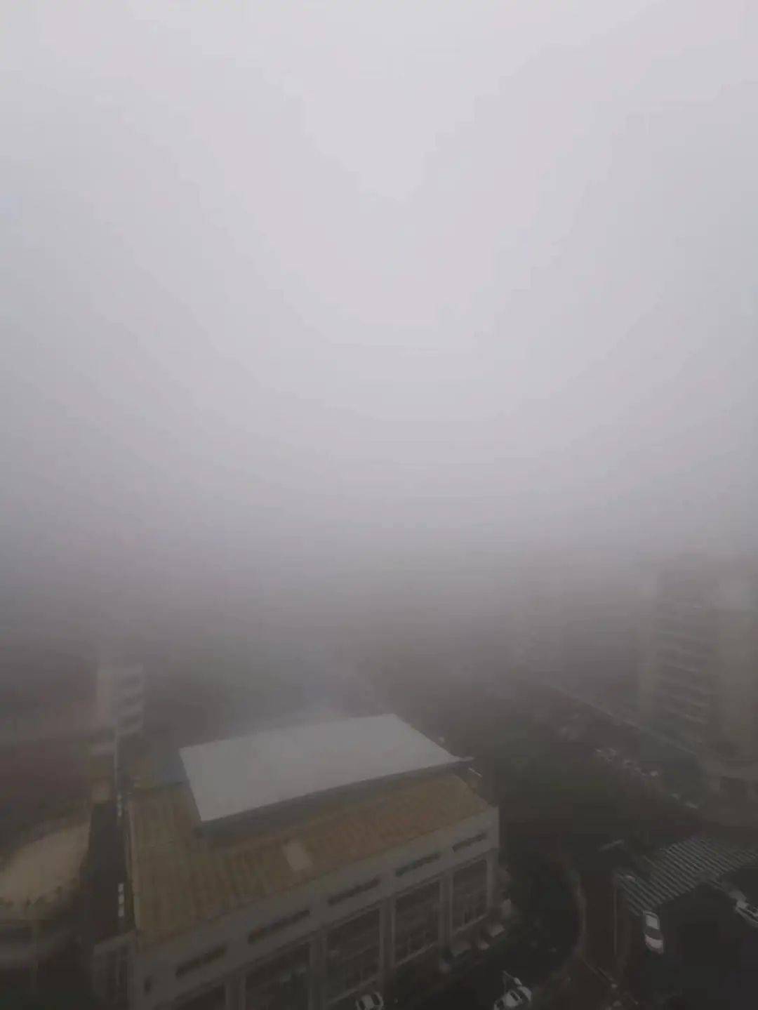 一早,浓雾突袭厦门!航线一度停航!接下来……_影响_网友_海沧