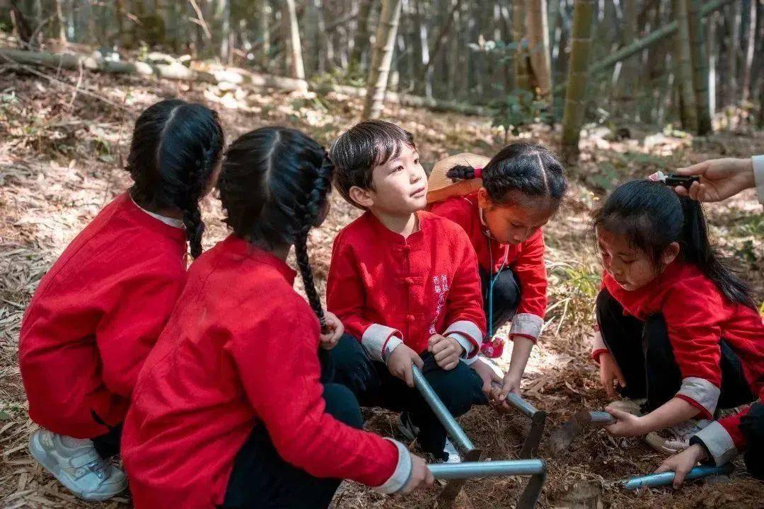 春日限定,笋娃探宝——下沈幼儿园非遗研学亲子游_家长_活动_游戏