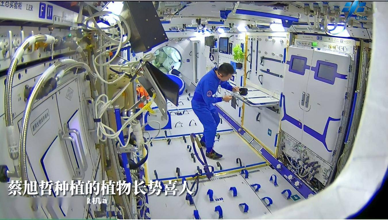 "太空种菜"有什么不一样?_植物_栽培_水分