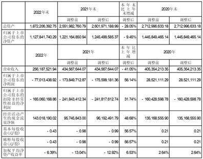 武汉三特索道集团股份有限公司2022年度陈述摘要