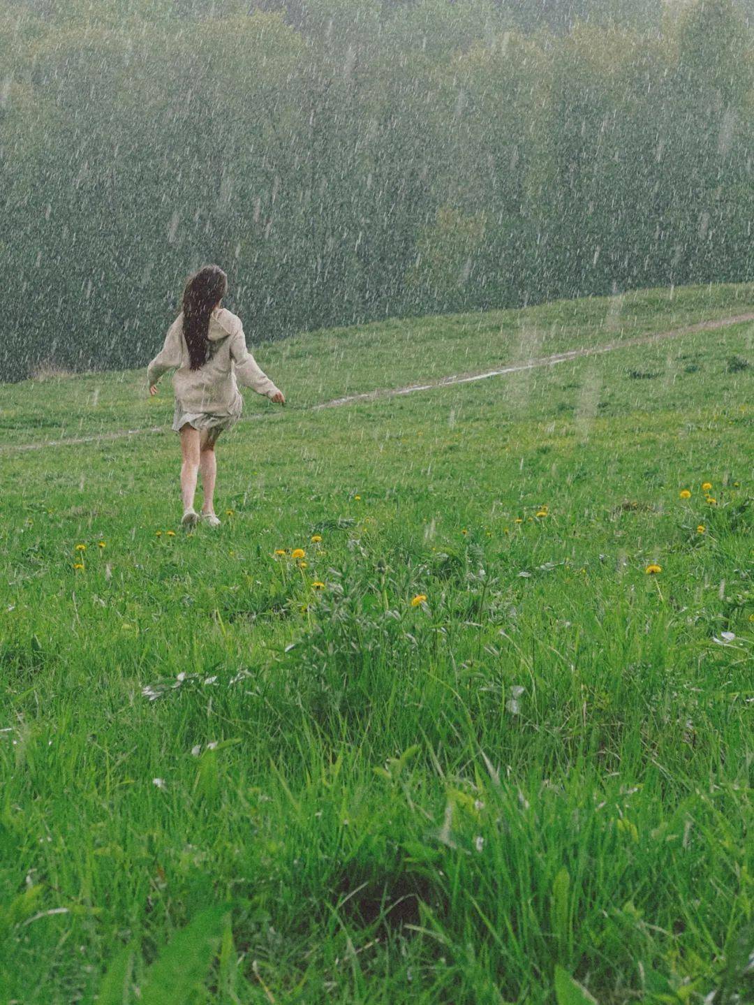 雨图片唯美 风景图片图片