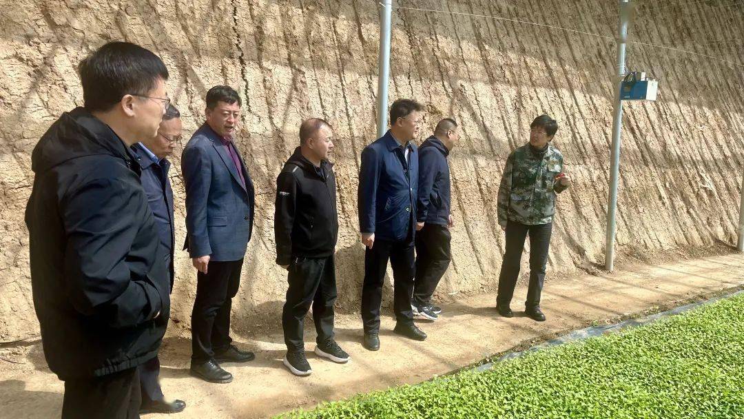 屯留要闻(4月6日)_工作_综合_防火