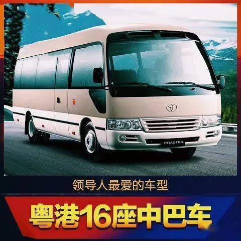 45/47/49座豪华大巴,主打品牌为瑞典scania和德国man,车辆品质稳定