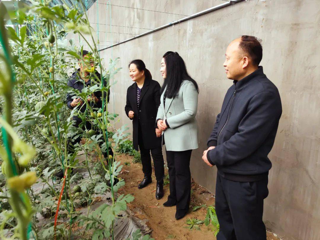 "发展指方向,把脉给秘方"---县委副书记沈慧星到葛集镇走访调研