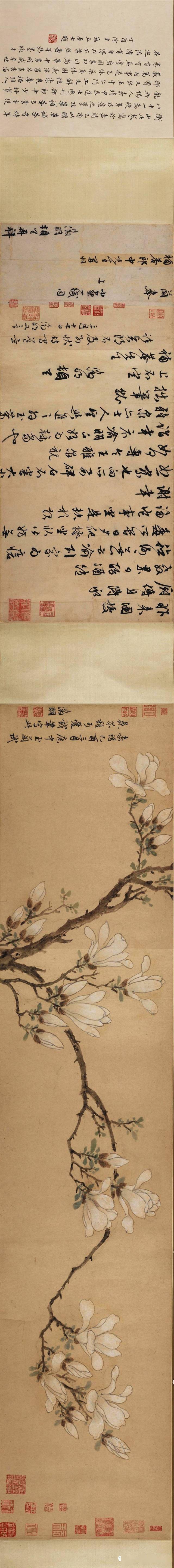 历代名家笔下那些最经典的花卉长卷！_搜狐网