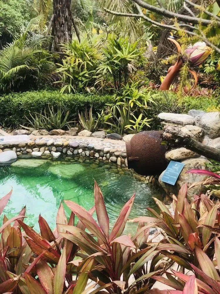 0689秒【美季魔法温泉】单人全天温泉 特色中草药浴 艾草蒸汽眼罩