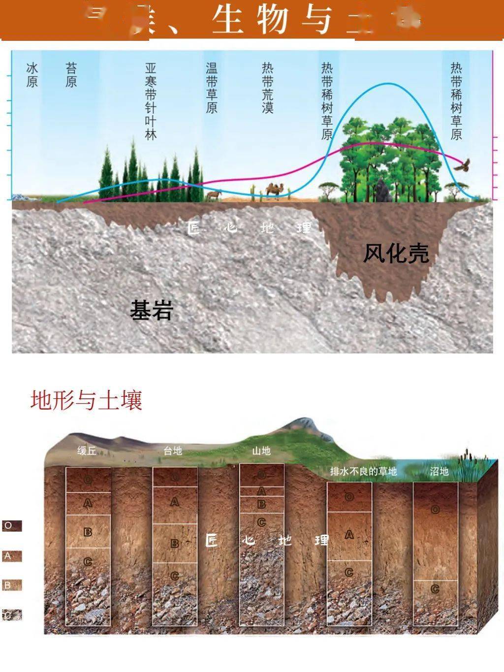 土壤垂直结构图片