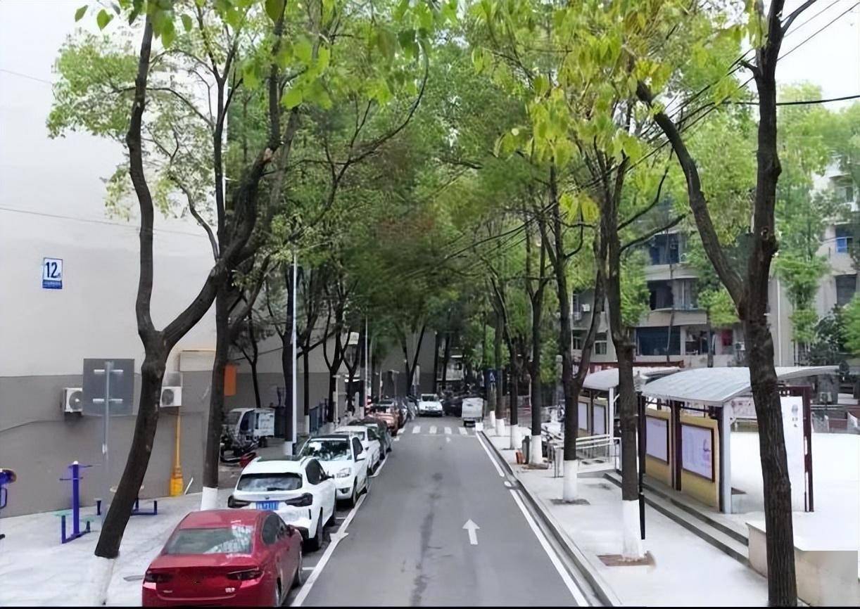 26条芙蓉街巷 总有一条让你心动~_白果园_环境_综合执法局