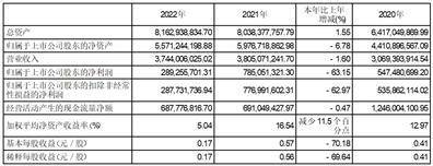 汕头东风印刷股份有限公司2022年度陈述摘要