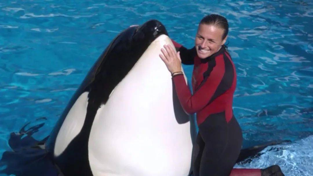 "杀人虎鲸"提里库姆和溺死的饲养员的合照.
