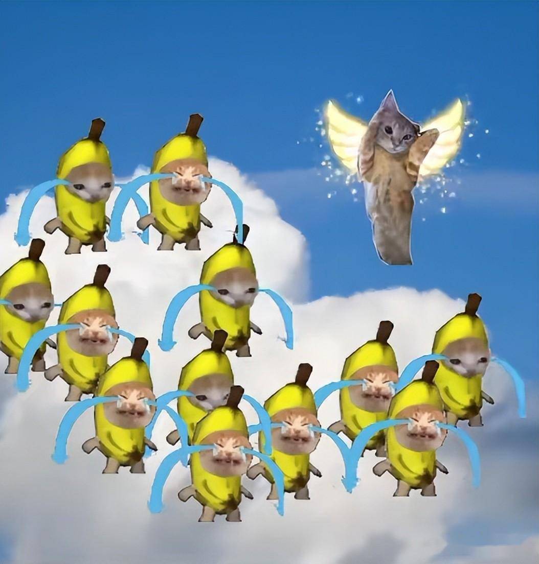 突然爆火的爆哭香蕉猫,是看乐子还是照镜子?_猫猫_视频_游戏