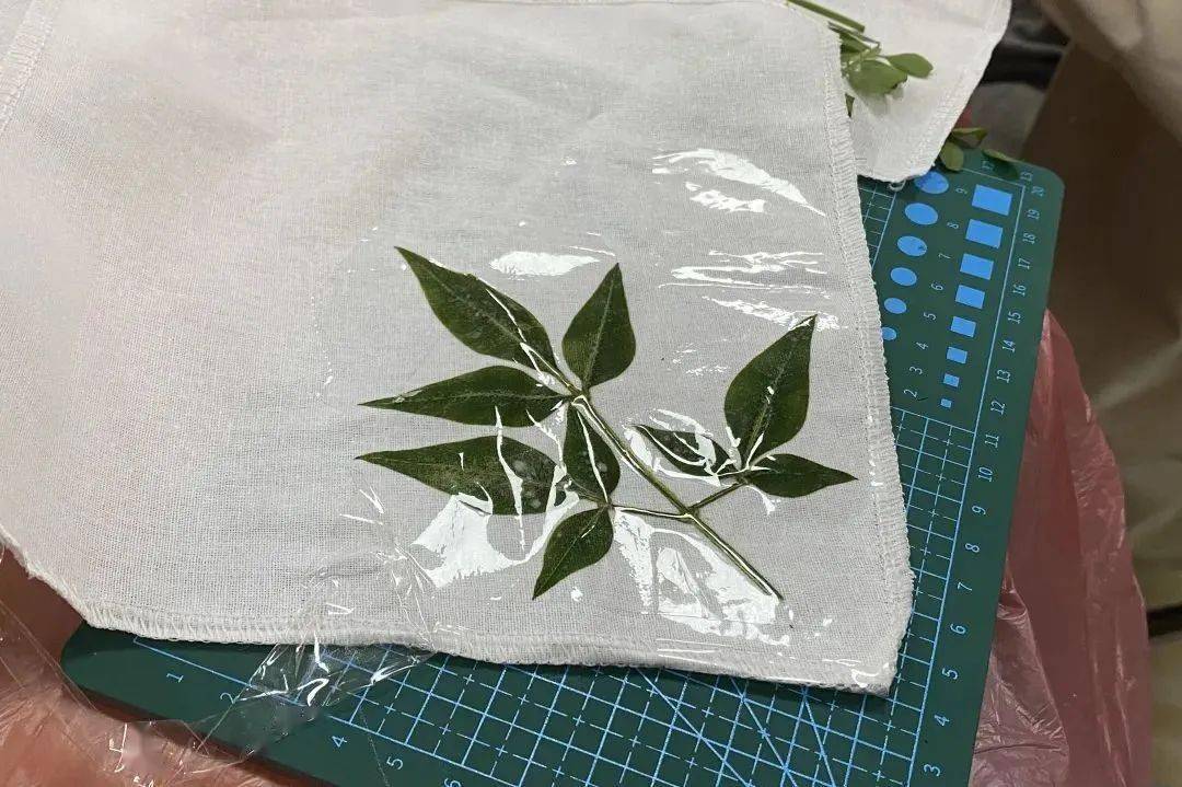 排列固定将花草树叶用明矾水浸泡,便于固色.