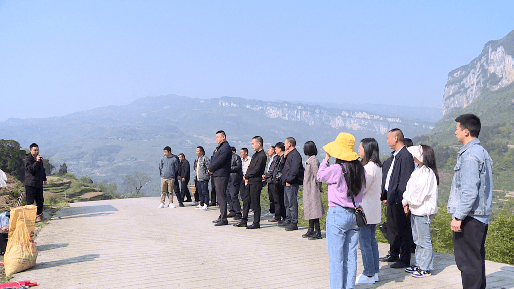 忠信镇开展农业产业暨春耕生产现场观摩_种植_道真_交流