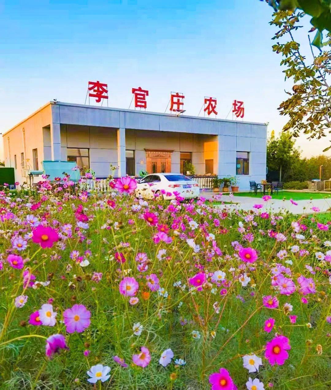 津港农庄坐落于天津市滨海新区西南小王庄镇北大港农场,与荣乌高速,津