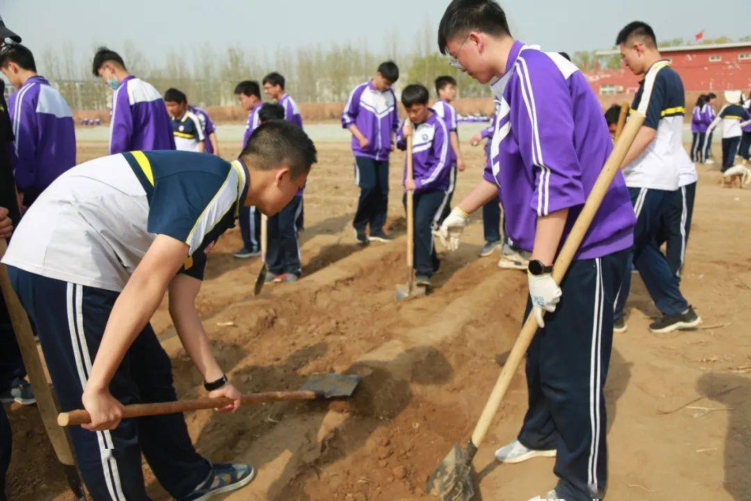 采采芣苢,薄言采之:杨村一中高二劳动实践教育纪实