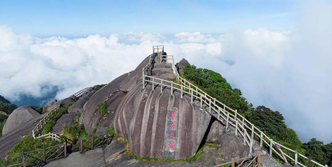 【开局起步dou精彩】2023猫儿山高山杜鹃花文化旅游节即将来袭!