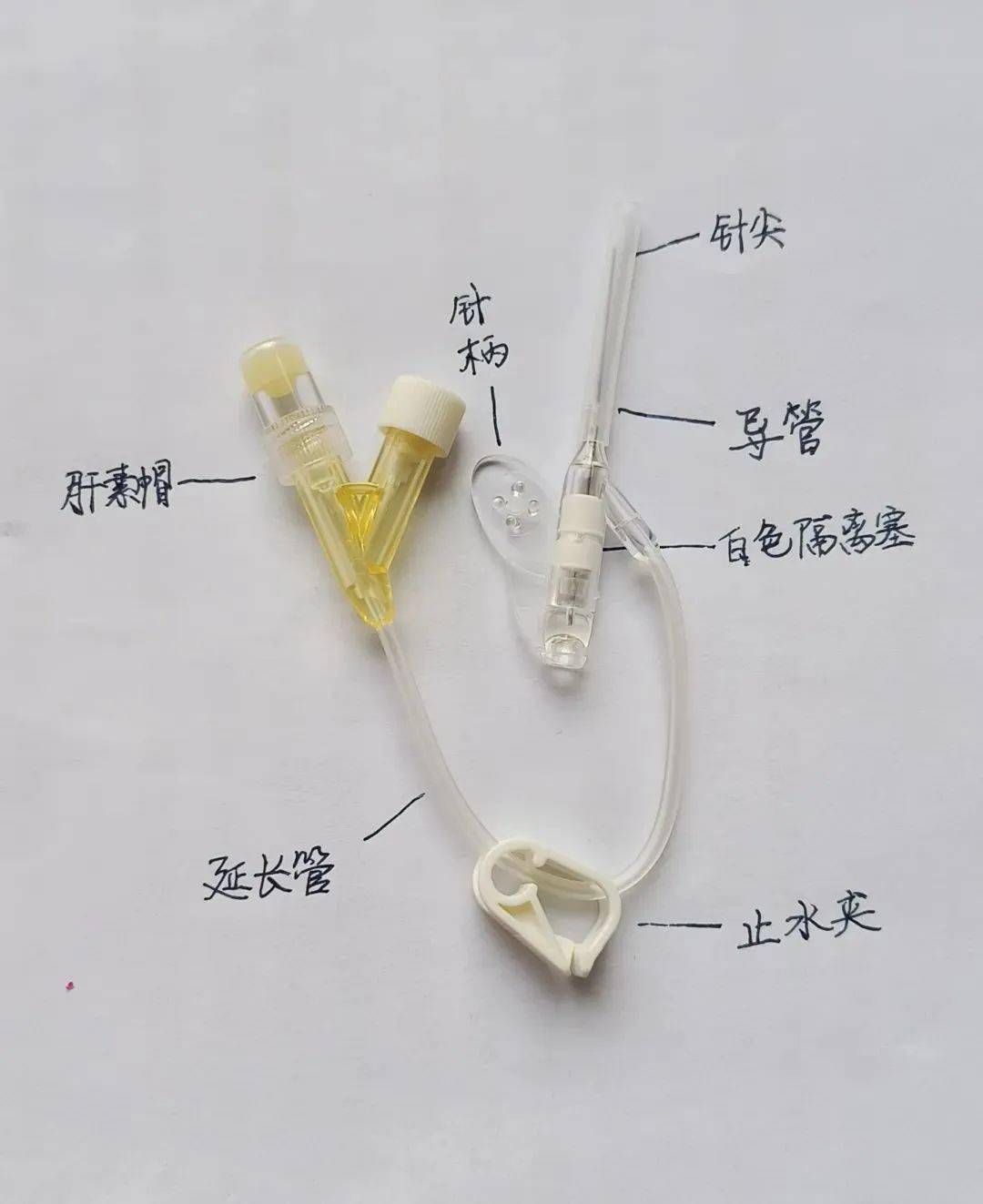 留置针穿刺进针回血好好的,为什么一退针芯就鼓包?_血管_皮肤_软管