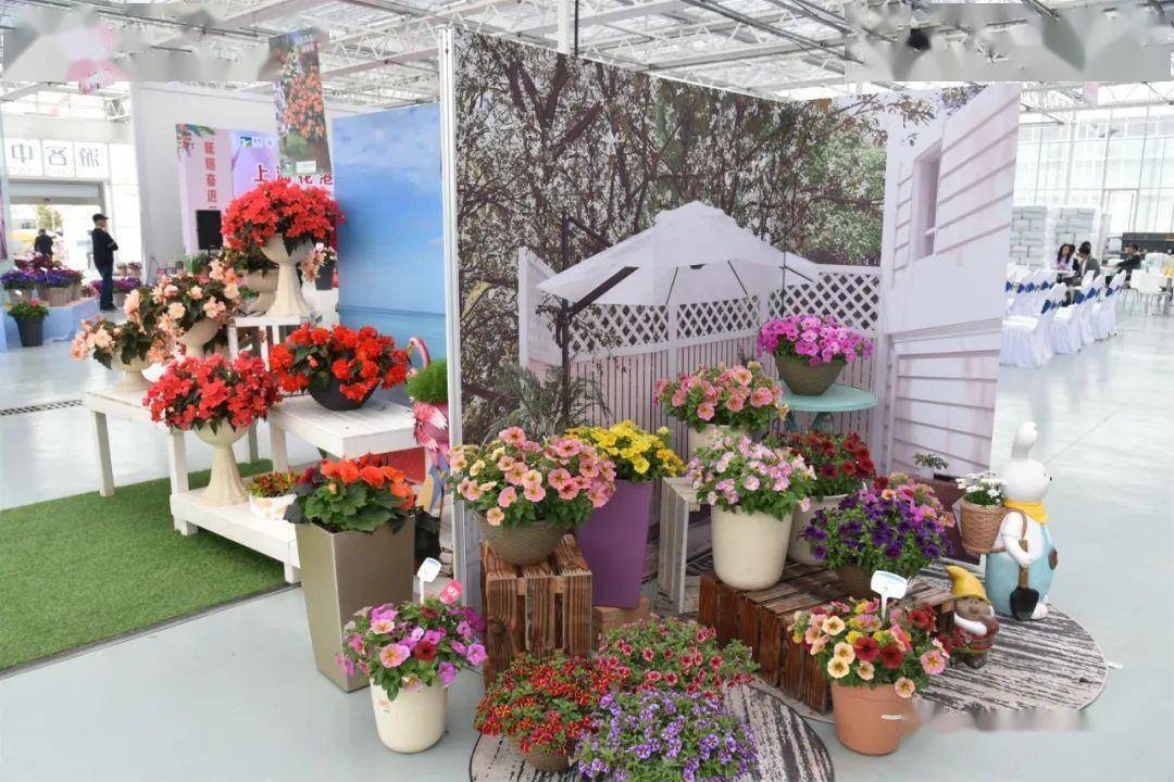 上海花港国际花艺节在崇明智慧生态花卉园开幕 | 动态_应用_活动