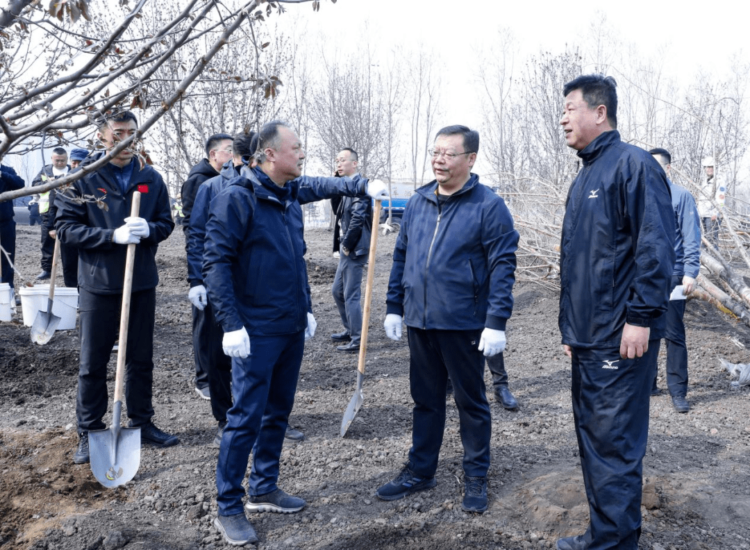 华景斌一边翻土植树,一边与身边干部交流,详细询问苗木品种,生长周期