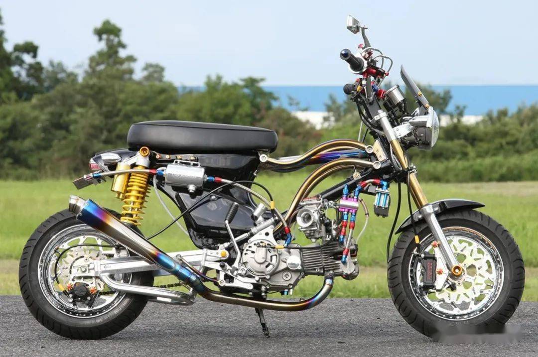 是幼兽,也不是幼兽:honda cub 125 | 每日一车_搜狐汽车_搜狐网