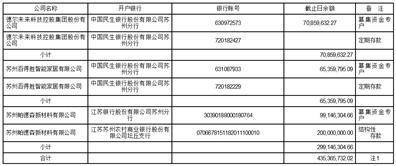 德尔将来科技控股集团股份有限公司 关于募集资金2022年度 存放与利用情况的专项陈述