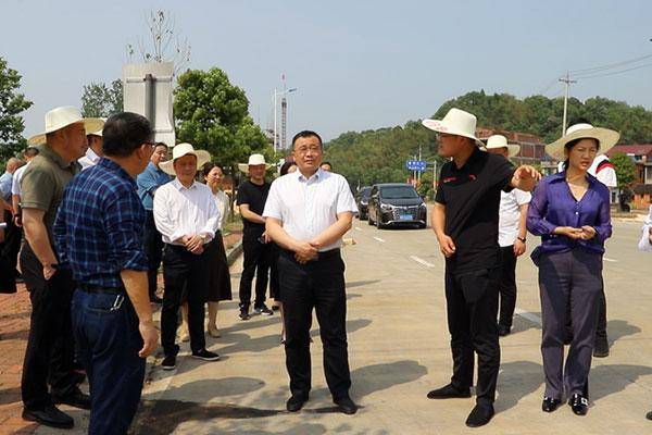 4月17日下午,桃江县委书记向荣率队赴桃花江,石牛江,牛田,松木塘
