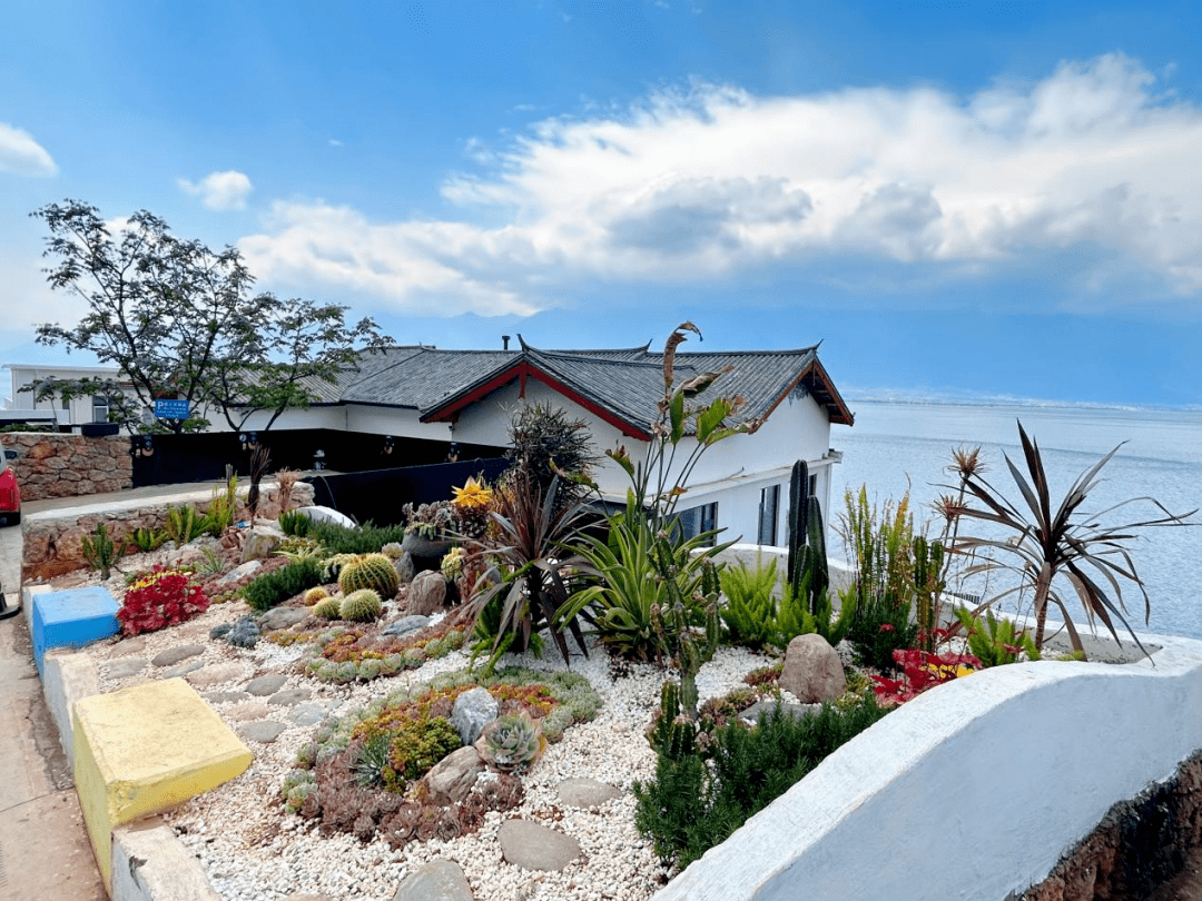 探访大理文笔村:从"空心村"到"网红村"的逆袭之路_洱海_旅游_赵志宝