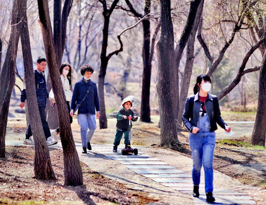 哈尔滨这一景区开园，游客创单日新高！