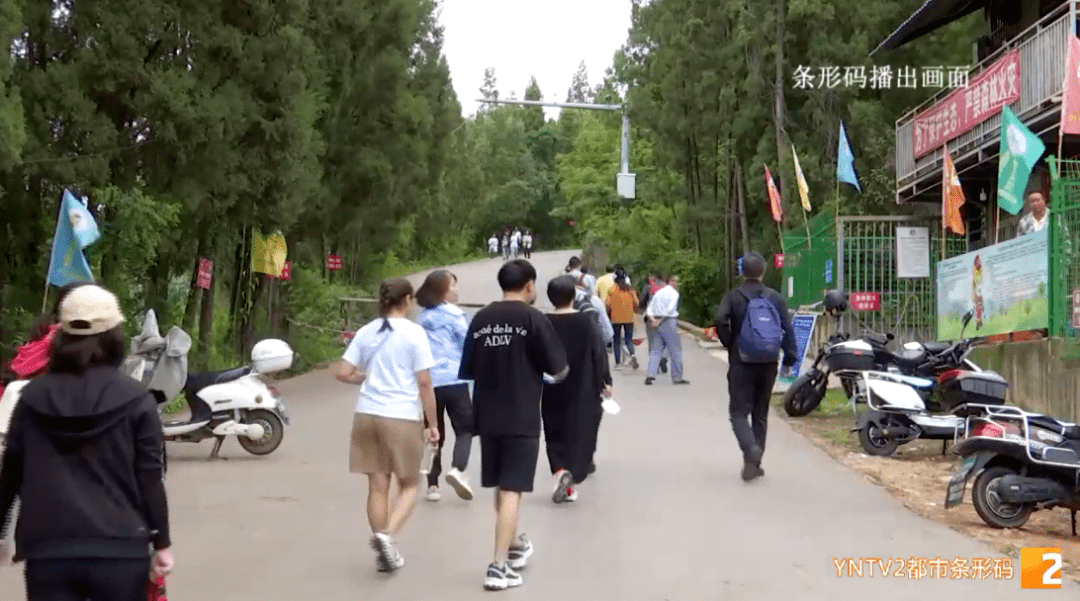 五华区红云街道办事处就曾表示,街道统筹,协调,编制了长虫山生态公园