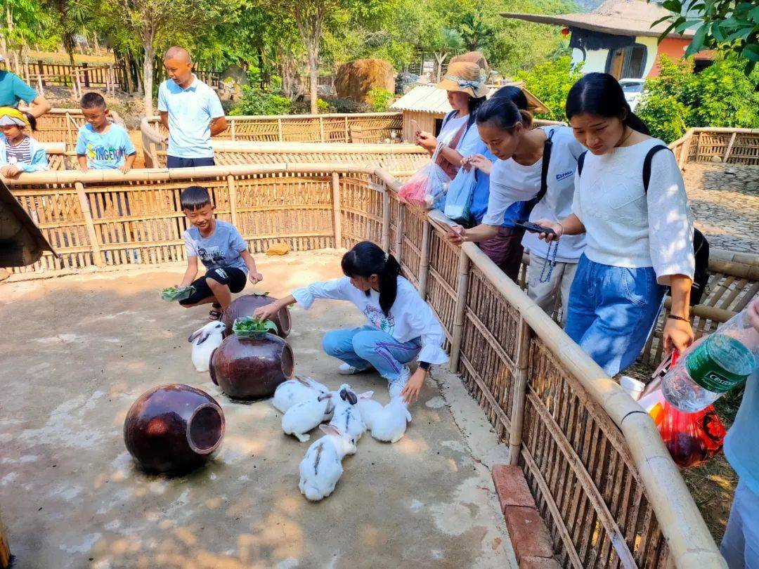 野趣的五一小长假,你来不?_度假_王阳明_兔子