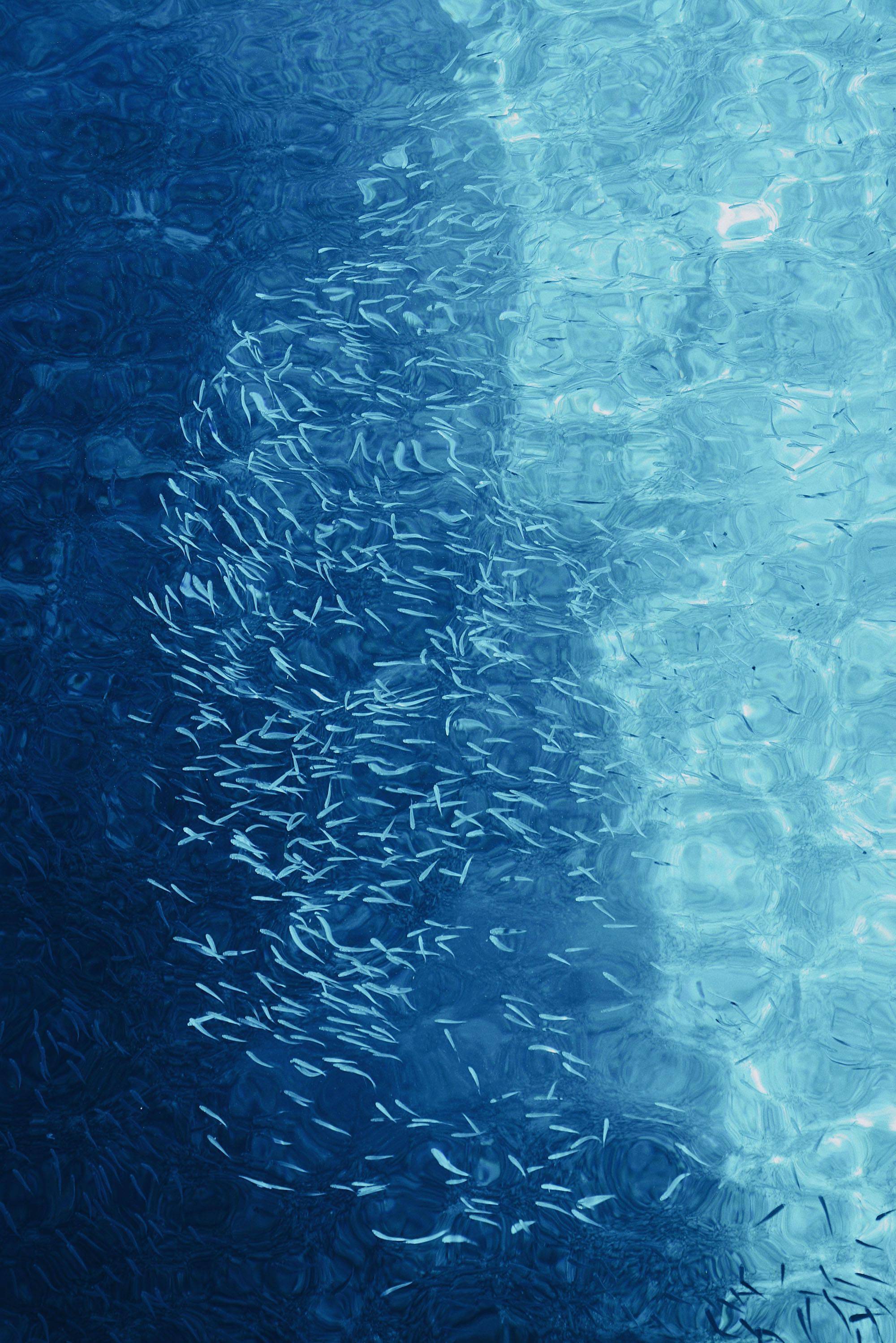 臭氧层-应对气候变化艺术大赛普通组摄影作品一等奖6969申报理由