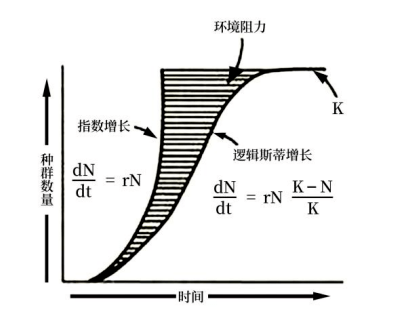 先秦时期两大显学图片