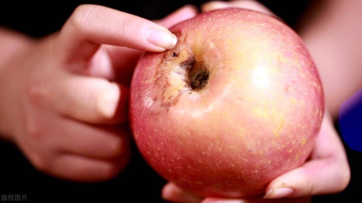 苹果局部腐烂,真的不能再吃!